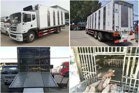 猪苗运输车有什么黑科技？图片