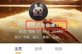 几万到过亿——新生代游资小鳄鱼图片