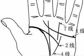 你不知道的掌纹秘密，自己看手诊，即可观察身体的健康图片