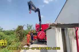 黄牛掉进化粪池 消防紧急施救图片