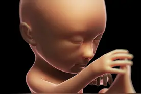 代孕不可！法律红线不可逾越 试管婴儿技术助力圆梦图片