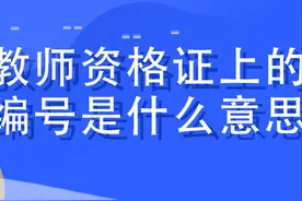 教师资格证上的编号是什么意思？图片