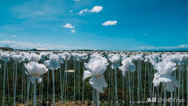菲律宾｜逃离冷冷的冬天飞去热带的岛屿享受阳光与海滩