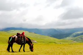 推荐8个凉爽的景点，暑假带着孩子一起去旅行吧……图片