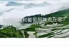 高中那些离谱的地理题图片