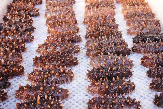 即使海参没“喝”敌敌畏，营养价值也不如鸡蛋？确实交了智商税