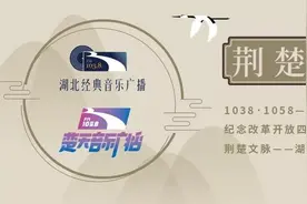 荆楚文脉｜诗词魅力耀古今——专访国学教授李敬一图片