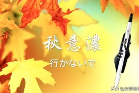 秋意浓 李香兰 现场版 罗兰AE30电吹管图片
