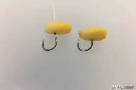 玉米如何挂钩命中率更高？挂钩方法并不重要，鱼钩才是重点图片