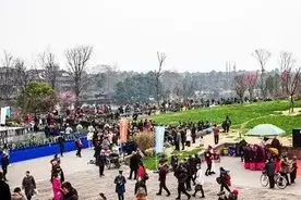 街子古镇“春台会”，兰花交易市场热闹非凡图片