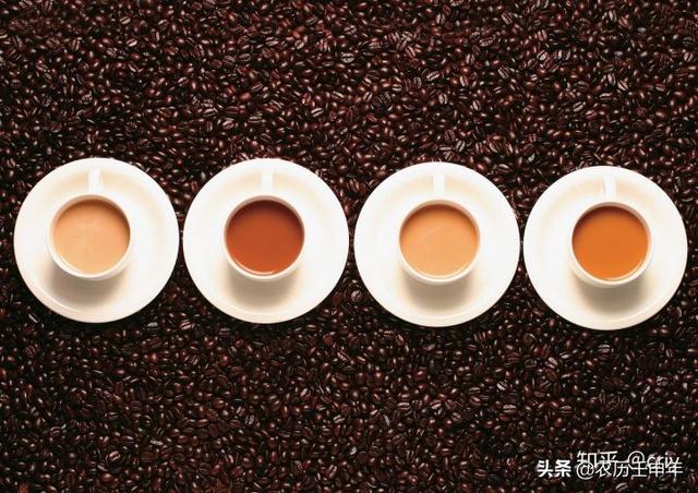 20分钟让你比99%的人更懂咖啡 （技能养成系列之一）