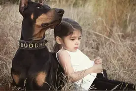 狗在它的生命中，都是在等待着主人图片