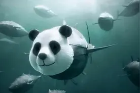 海中大熊猫，活体鱼雷，重金属和组氨酸的富集者：蓝鳍金枪鱼图片