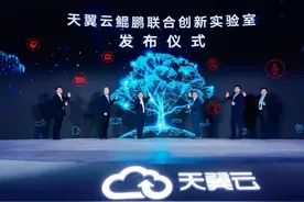 支援华为，中国电信正式接入欧拉、鸿蒙，天翼云鲲鹏实验室已建成图片