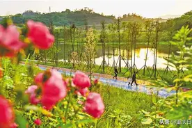 主城“四山”变身“城市绿肺、市民花园”图片