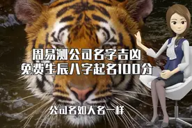 这家新能源造车公司起名叫哪吒，你敢买吗？教你如何起一个好名视频封面
