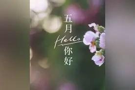 你想和西安城里的网红墙合影吗？西安网红蔷薇开了，别犹豫了还不快去！图片