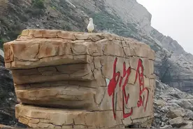 中国有多少个蛇岛，为何大连蛇岛上的蛇越来越凶猛？图片