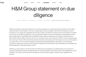 除了H&M，阿迪达斯、耐克、新百伦、优衣库、无印良品、巴宝莉等大牌也抵制新疆棉花图片