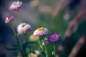 52岁退休女人的养老计划：养老分三步走，养老院是自己的最终归宿图片