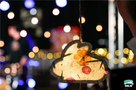 爬到“大鲸鱼”的背上，月光下听一曲“花好月圆”图片