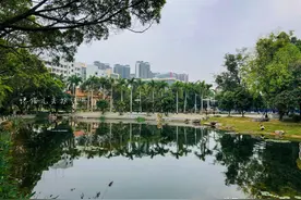 广西南宁这组老旧小区的破楼梯成了网红，年轻游客特地过去打卡图片