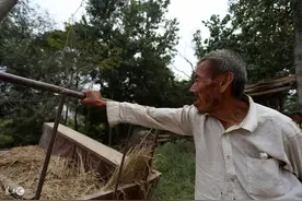 “蛇杖”被扔荒地，孩子拿它当玩具，老人：这是海南黄花梨图片