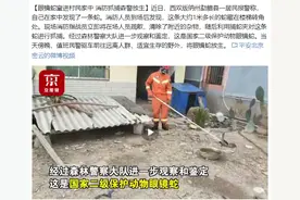 蛇进屋！云南发现1米多长的眼镜蛇进屋 蛇进屋怎么办？暗示什么？图片