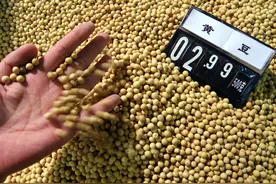 大豆逼近3元一斤，10月下旬价格走势如何？农民何时售出最划算？图片