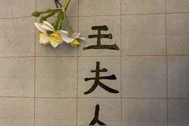 为什么说王夫人才是荣国府的掌权者？从下面五点看王夫人的地位图片