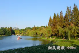 闵行体育公园：到湖边吹吹风看看风景图片