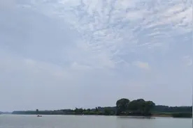 微山湖的一些鱼图片