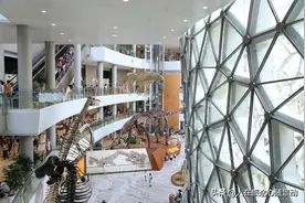 上海自然博物馆：带娃消暑的好去处图片