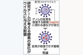 日本新增病例数呈断崖式下跌引发关注，德尔塔变异株病毒缘何“神秘消退”？图片