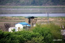 实拍韩国临津阁，韩国人逢年过节来到这里，眺望朝鲜和怀念先人图片