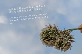 一个普通研究生的生活图片