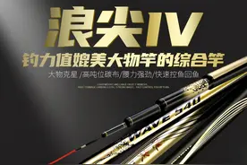 5米4超轻鱼竿推荐（质量好）图片