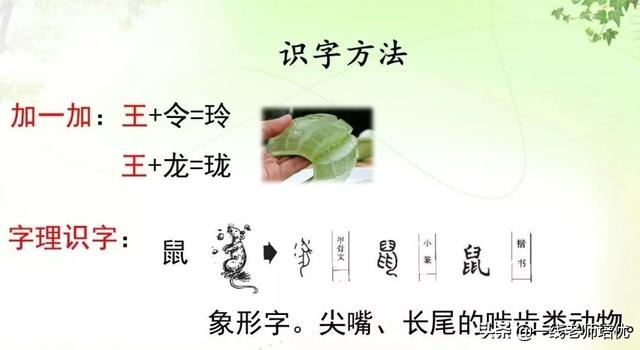 生字学习知识点一,我会写组词鼠:shǔ(松鼠,老鼠,鼠目寸光)秀:xiù