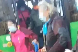 老年偷菜团乘免费公交去“薅”菜？缺德比缺钱更可怕图片