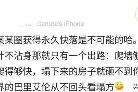 「试说新语」之“爬墙”：饭圈这些“爬墙”类型你都知道吗？图片