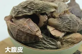 每天学习一味中药——大腹皮图片