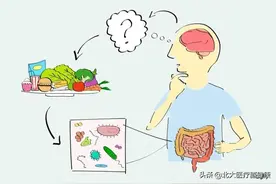 国际顶级学术期刊：宣称肠道菌群驱动了自闭症是错误的图片