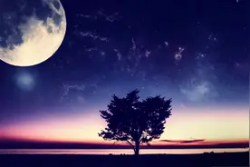 《夜》（原创）图片
