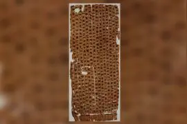 中医再次惊艳世界，出土世界最古老的解剖图，存世2200年图片