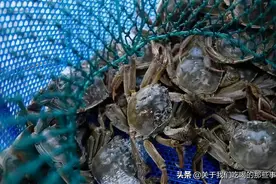 吃不完的螃蟹，别放冰箱保存了，蟹农教你个好方法，放一周还鲜活图片