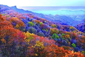 抚顺四大“醉氧寻枫”好去处等你来打卡图片