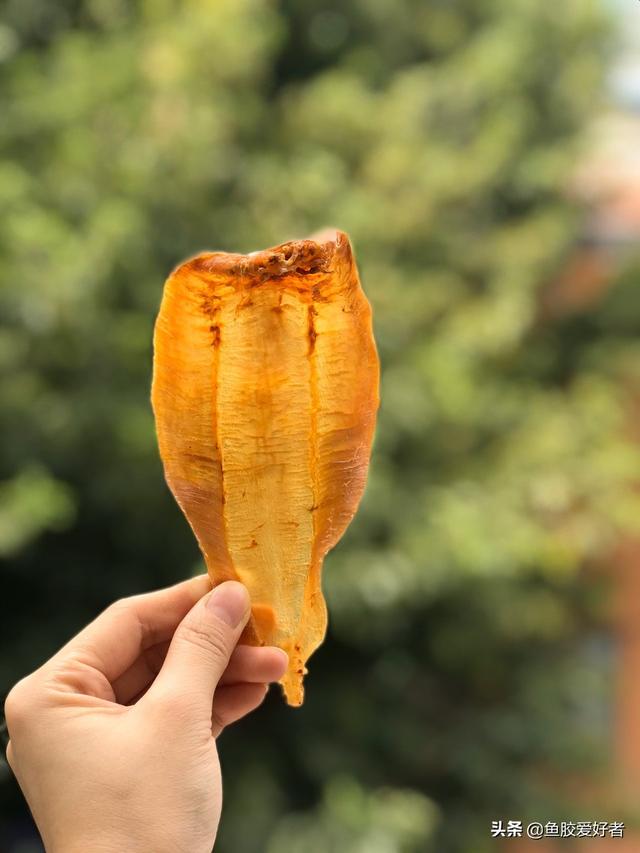 土鳘公和土鳘母有什么区别 土鳘公是野生的吗 土鳘公和土鳘母有什么区别 土鳘公是野生的吗