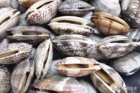 洗花蛤时，只用盐水泡就错了，教您一招，花蛤吐沙干净无残留图片