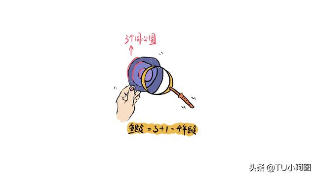 看鱼鳞可以知道鱼的年龄吗