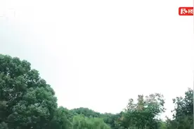 红视频·看湘潭丨阴雨后短暂放晴 湘潭市民游园忙图片